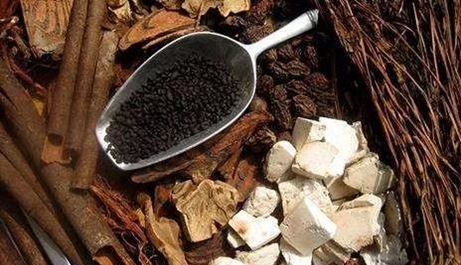 我們應(yīng)該如何正確服用蒙藥?