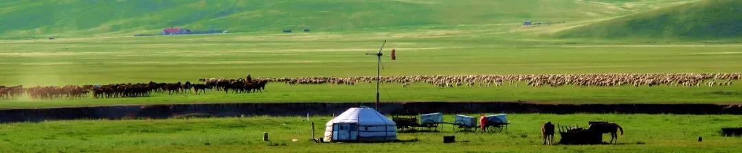 1602147671591598.jpg 微信圖片_20201008170525.jpg