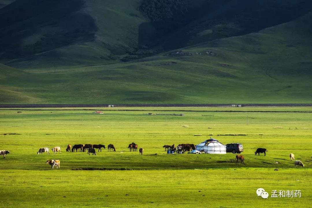 1602148268617062.jpg 1602148268617062.jpg